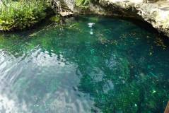 Cenote du jardin d'Eden et piscine à Playa del Carmen