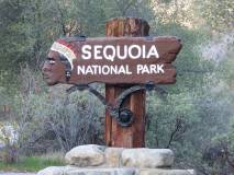 Séquoia National Park